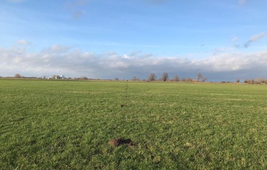 Mogelijk aanvullend onderzoek naar aardwarmte