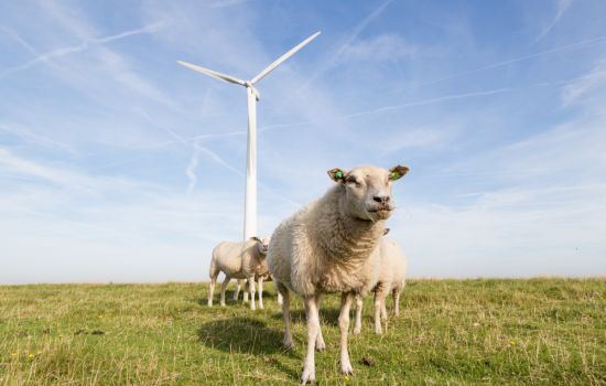 Windenergie in de provincie Utrecht